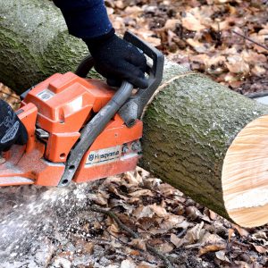 cutting wood